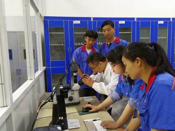 amjs澳金沙门线路(中国)有限公司首页